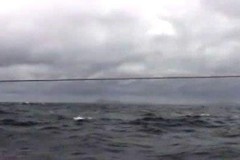phpThumb_generated_thumbnail-1